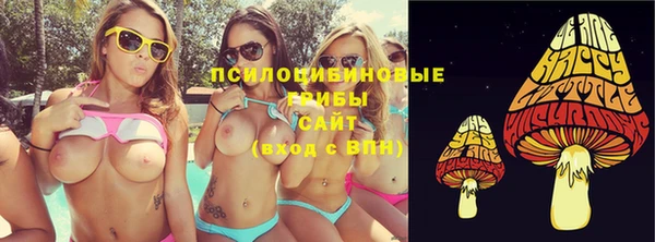 синтетический гашиш Богородицк
