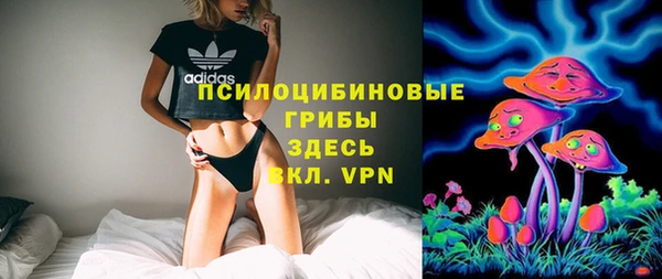 мдпв Беломорск
