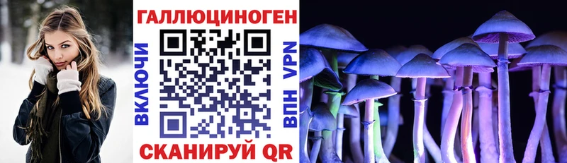 дарк нет клад  Надым  Псилоцибиновые грибы мухоморы  купить  