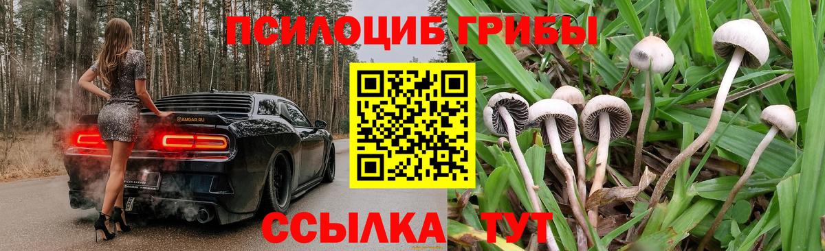 Псилоцибиновые грибы Magic Shrooms Надым