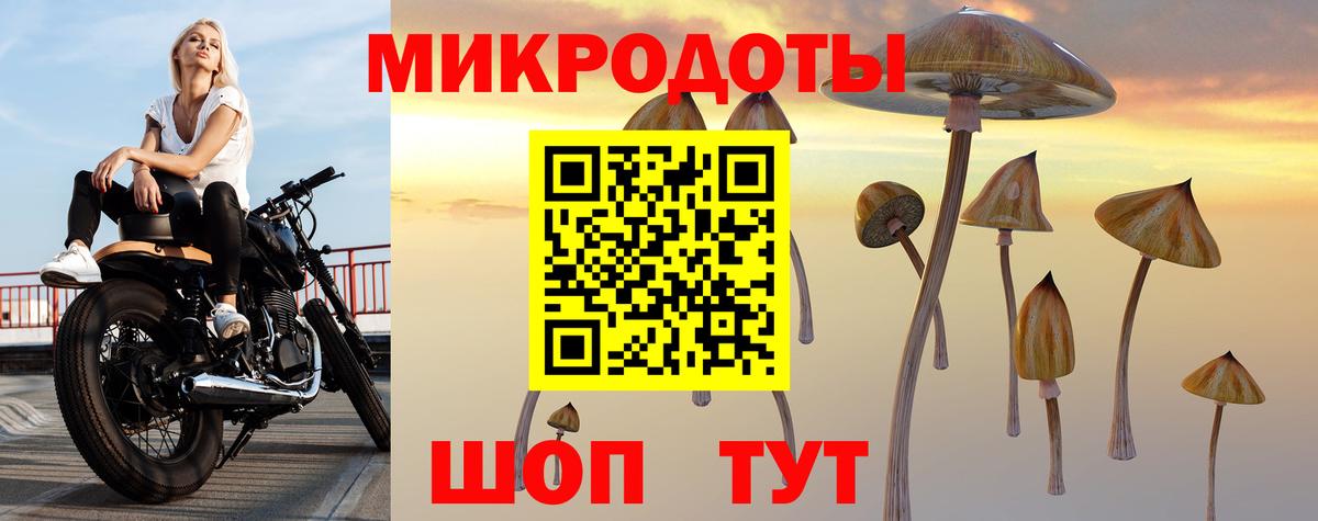 Надым  Галлюциногенные грибы Psilocybine cubensis  Вход с VPN 